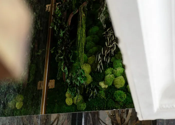 Apartment Nap Maison D'or *